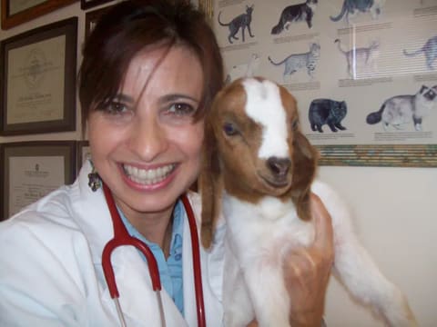 Dr. Paula Ferreira smiling with a baby goat in her arms, diplomas on the wall behind her