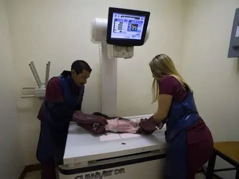 Two team members in protective aprons position a patient for a digital x-ray